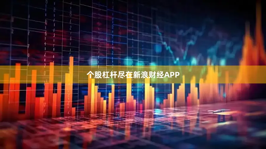 个股杠杆尽在新浪财经APP