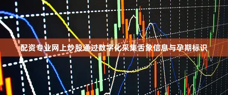 配资专业网上炒股通过数字化采集舌象信息与孕期标识